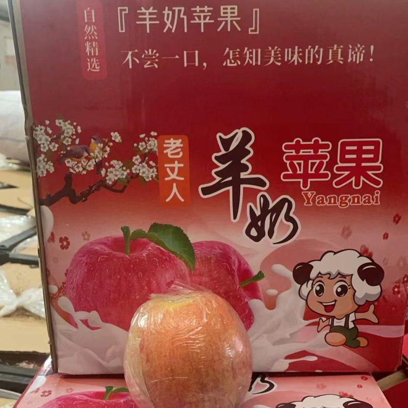《羊奶苹果》社区团购专业供应链，临猗冰糖心苹果