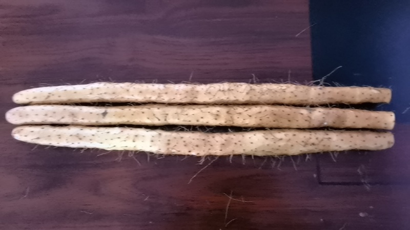 河北小白嘴山药铁杆山药淮山药，产地直销，一手货源.