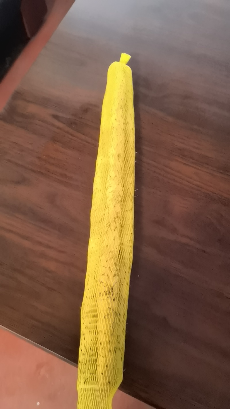 河北小白嘴山药铁杆山药淮山药，产地直销，一手货源.