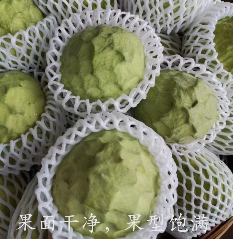 广东云浮10斤礼盒装AP释迦果番荔枝自家果园现摘优质鲜果