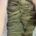 独脚金甘积草独脚金独脚金实物拍摄青绿