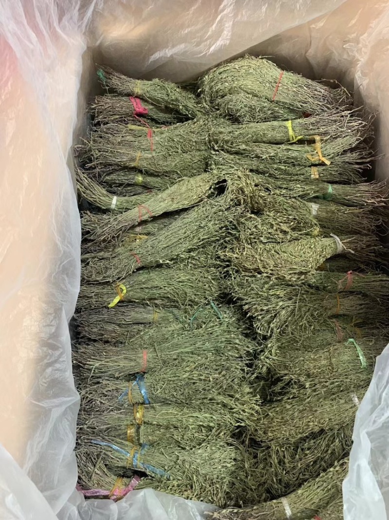 独脚金甘积草独脚金独脚金实物拍摄青绿