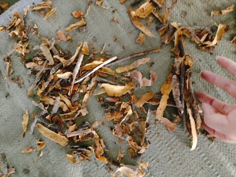 中药材黄柏边角料产地直供大货批发量大从优