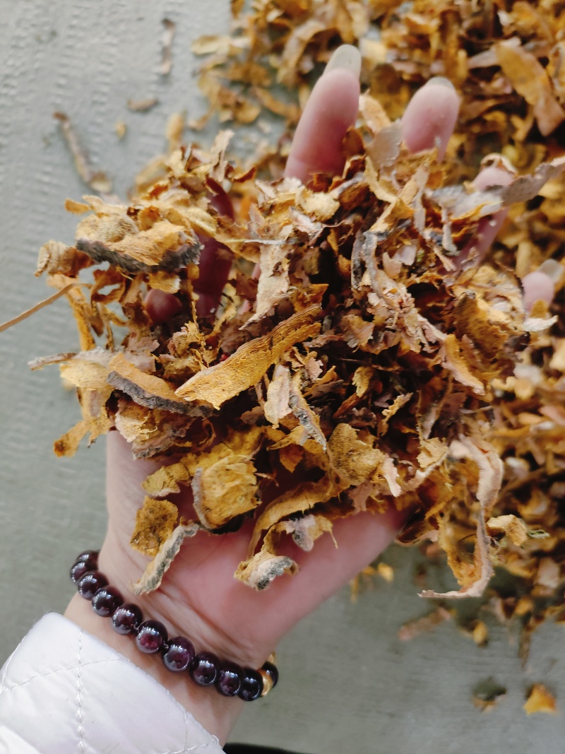 中药材黄柏边角料产地直供大货批发量大从优