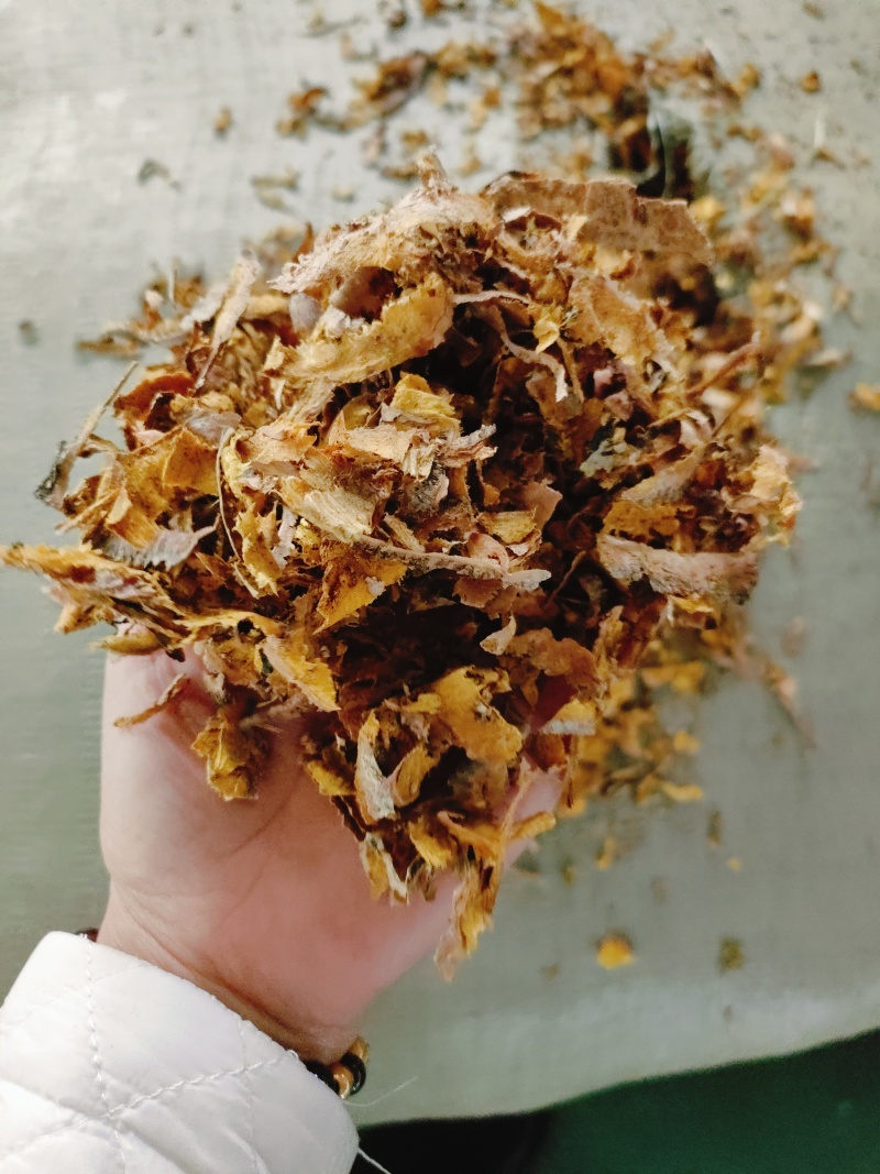 中药材黄柏边角料产地直供大货批发量大从优