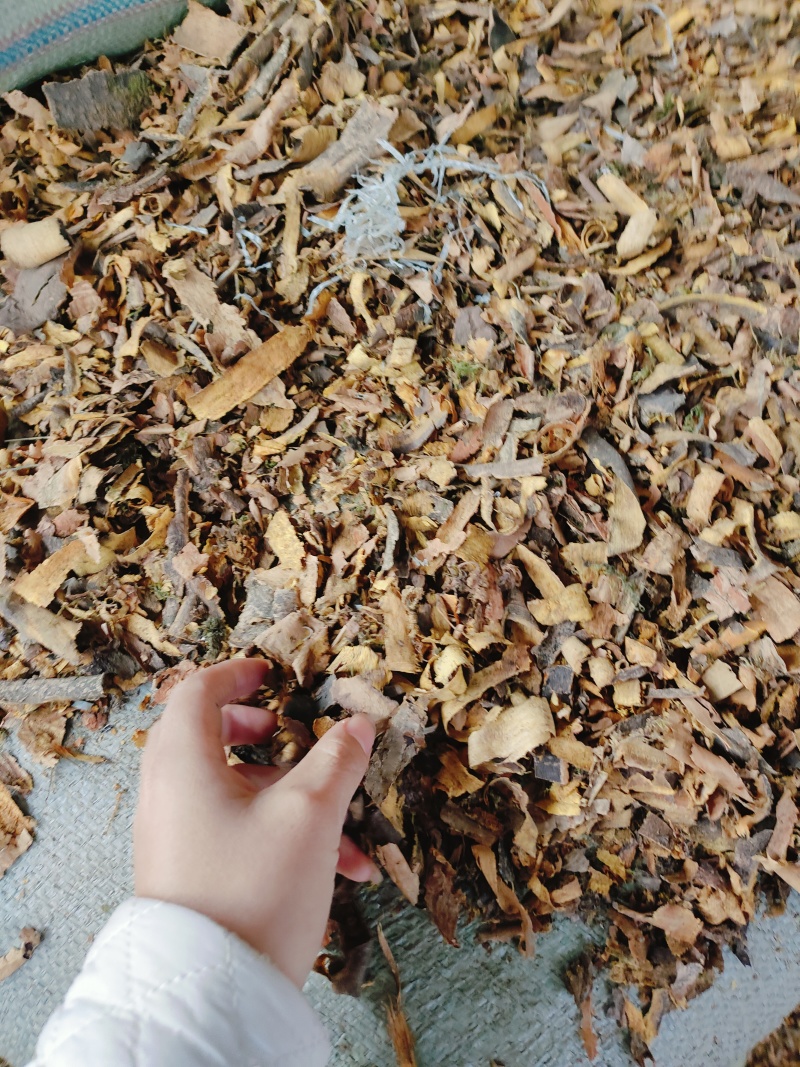 中药材黄柏边角料产地直供大货批发量大从优