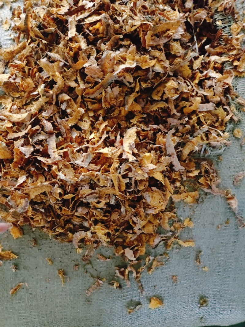 中药材黄柏边角料产地直供大货批发量大从优