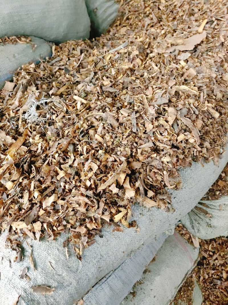 中药材黄柏边角料产地直供大货批发量大从优