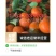 广西东方红，沙糖桔，金秋沙糖桔，八月橘，棉橘，纽荷尔脐橙