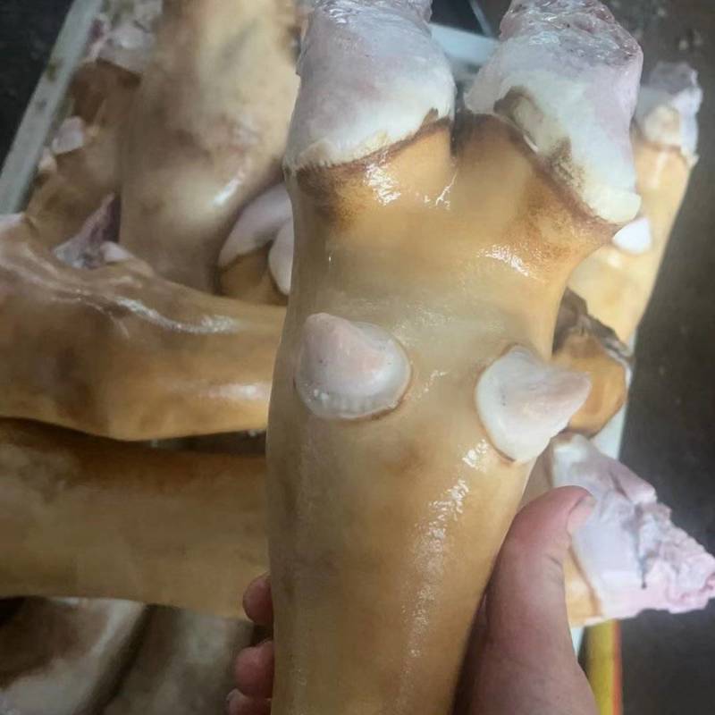 火燎牛蹄规格齐全