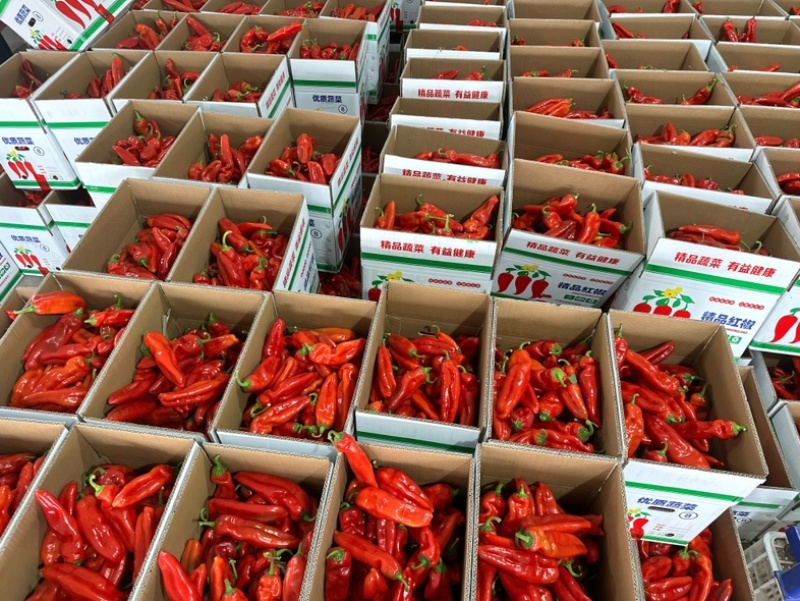 【实力】精品红泡椒大量上市诚信经营产地直发