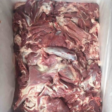 精选羊肉带皮羊肉