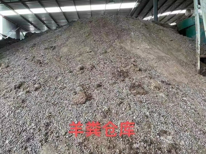 发酵场供应：有机鸡肥、有机羊粪、纯颗粒羊粪✅✅✅