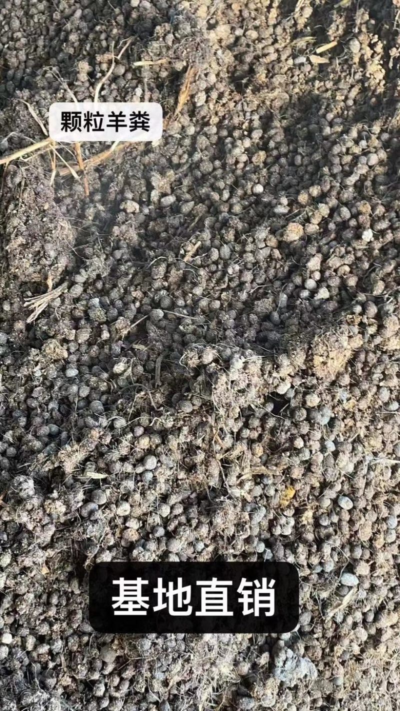 发酵场供应：有机鸡肥、有机羊粪、纯颗粒羊粪✅✅✅