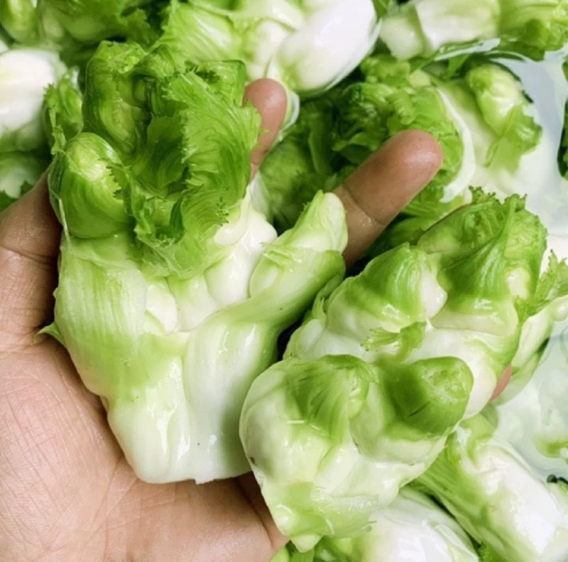 重庆精品儿菜大量上市报儿菜
