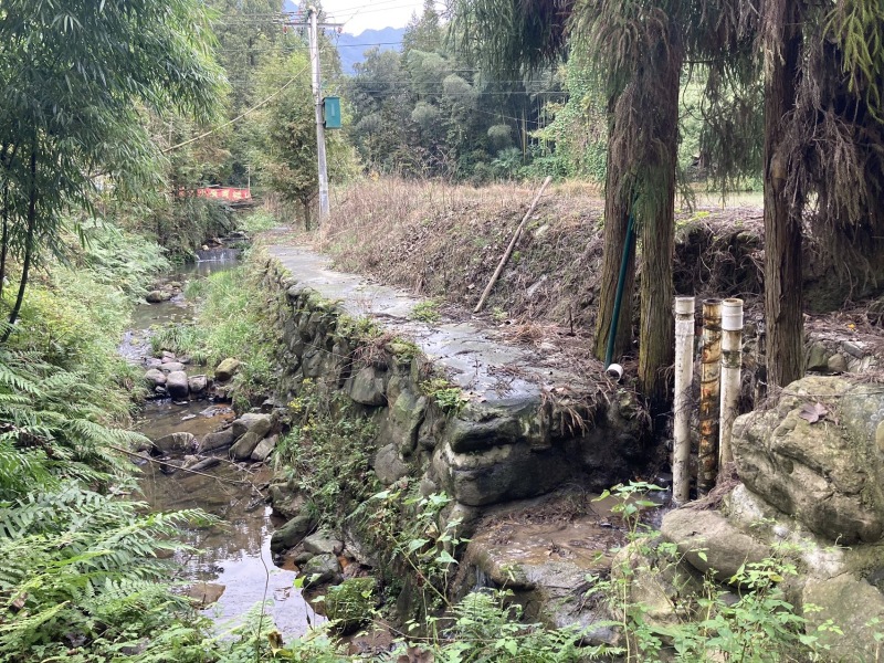 无油生态大口鲶，山泉水鲜饵饲喂，肉质Q弹紧实无土腥