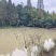 无油生态大口鲶，山泉水鲜饵饲喂，肉质Q弹紧实无土腥