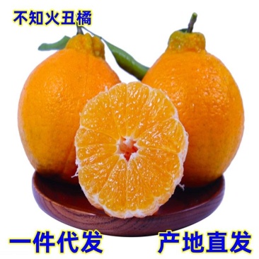 一件代发四川眉山不知火丑橘供应各大平台直播电商