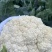 邯郸本地有机菜花,个头均匀,颜色乳白,小米粒,大米粒,