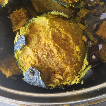 南方地爬爆粉贝贝