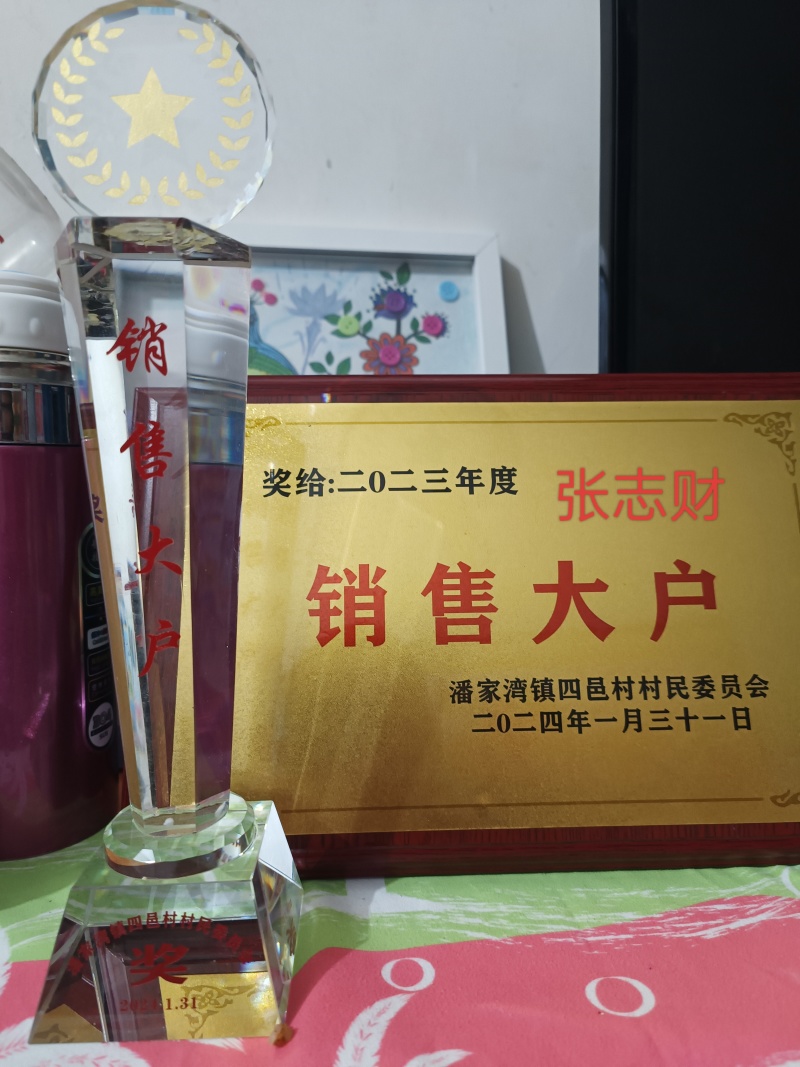 （基地直供）湖北嘉鱼县扁包菜货源充足，全国发货