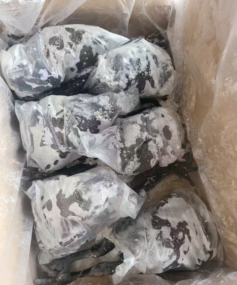乌鸡，电商货，价格不高9公斤一件，8-12只直腿单支套袋