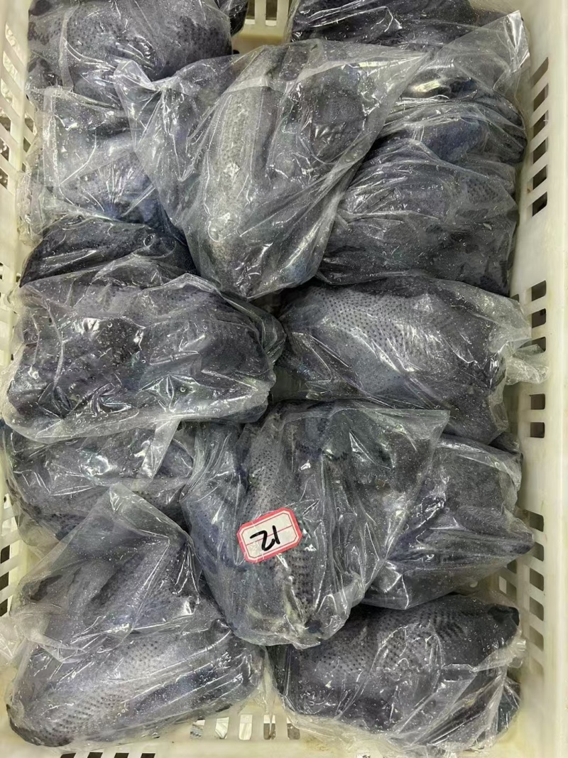 乌鸡，电商货，价格不高9公斤一件，8-12只直腿单支套袋