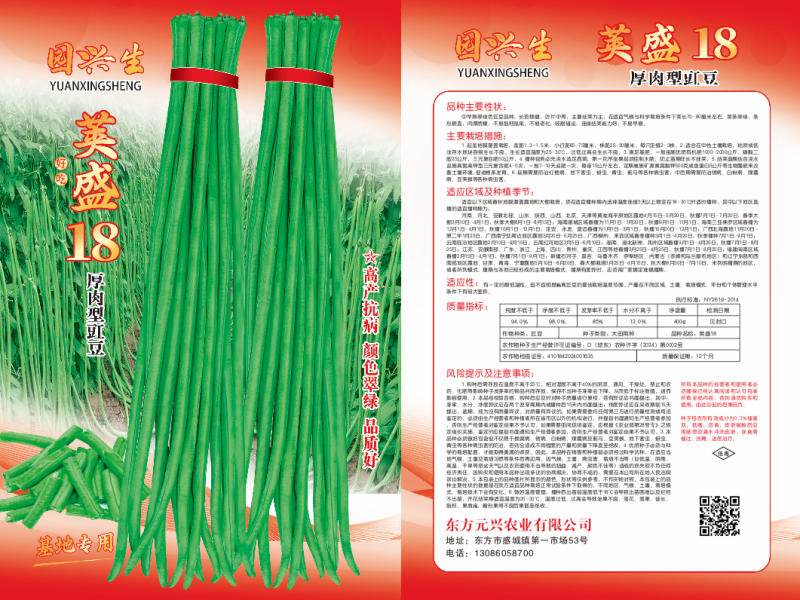 荚盛18豇豆种子，荚条翠绿，条形顺直，肉厚质嫩，厂家直销
