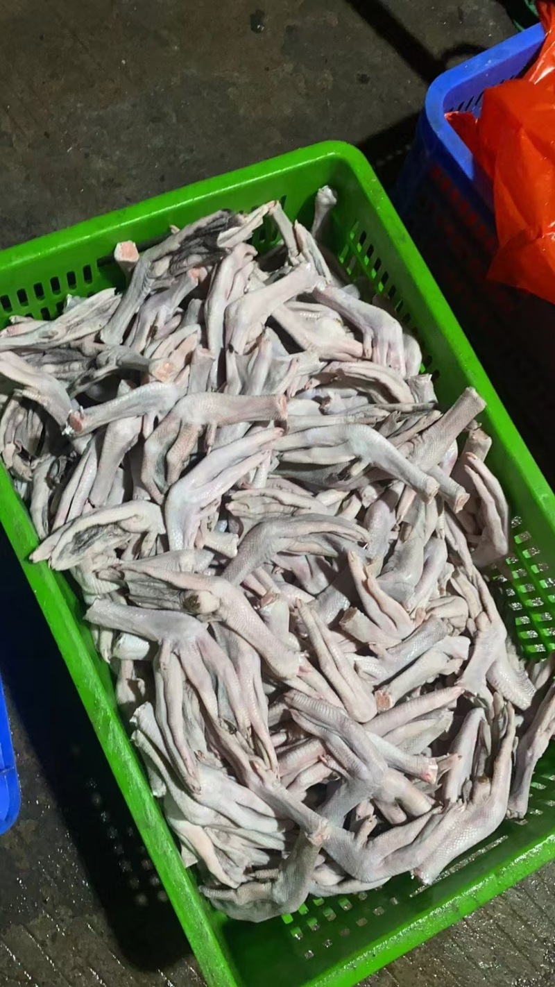 黑棕鹅鹅掌