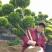 亮晶多头棒棒糖，基地有量，欢迎来一亩田订购