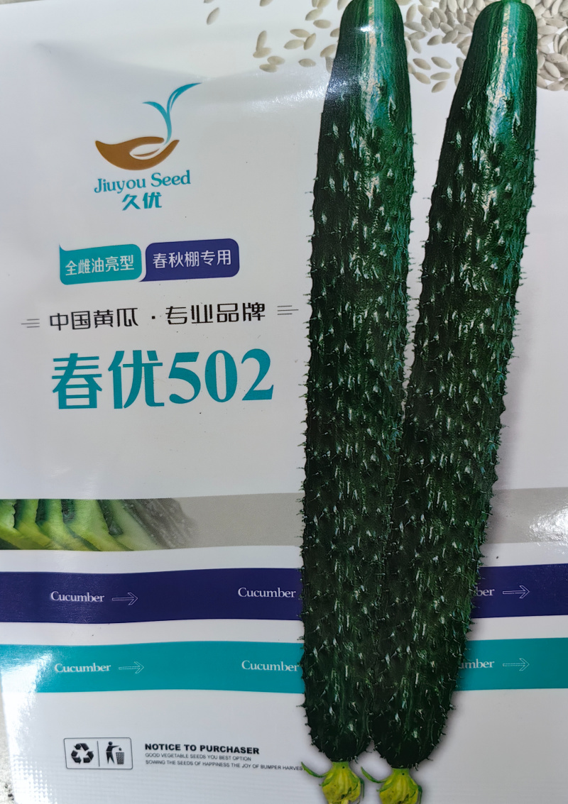 春优502黄瓜种子全雌油亮黑绿皮绿肉瓤顺直短把春秋棚黄瓜