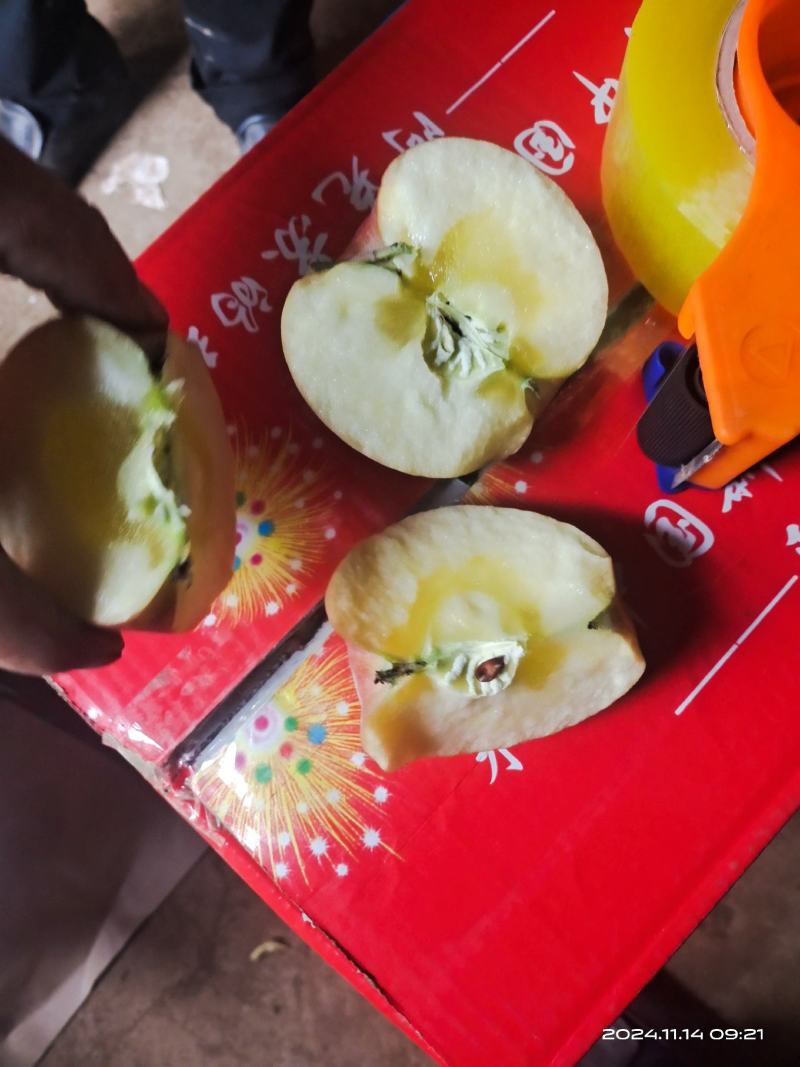 膜袋红富士苹果，冰糖心正在大量上市中，果大亮度好