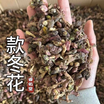 《新货货对版》款冬花无硫冬花实拍发货如图无泥花朵