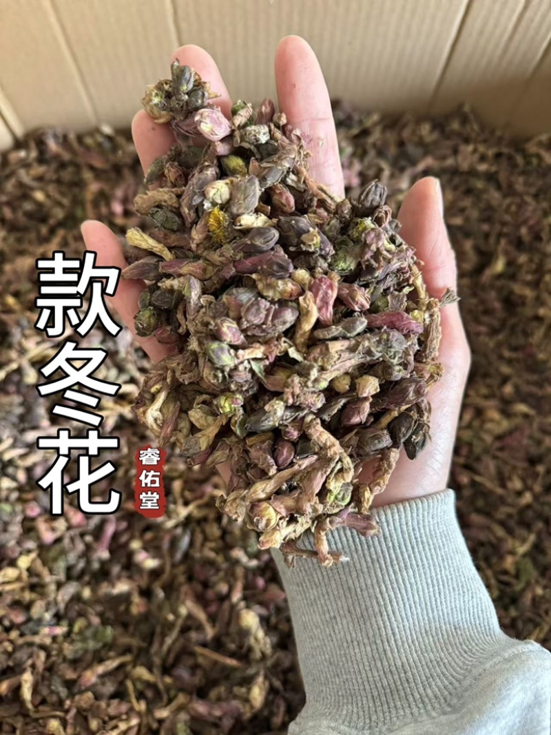 《新货货对版》款冬花无硫冬花实拍发货如图无泥花朵