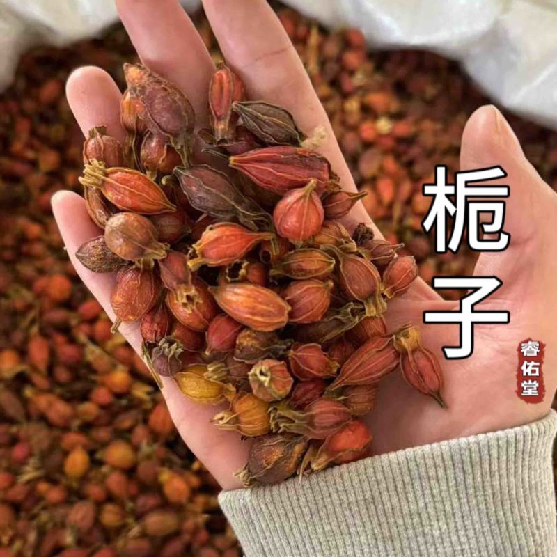 《实拍发货如图》正品黄栀子栀子山栀子红栀子