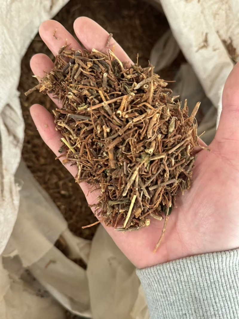 龙胆草实拍过筛货发货如图苦胆草现货