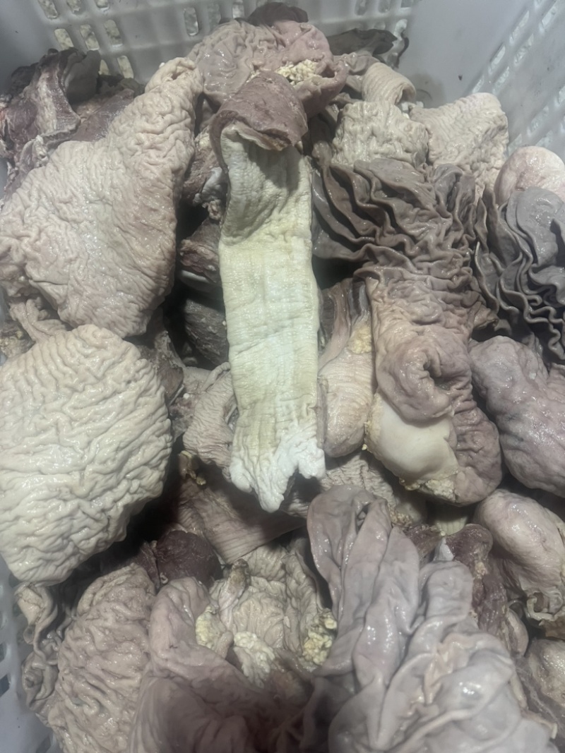 精修散肚，红肠，牛碗口