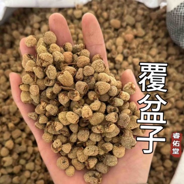 《正品货对版》足干覆盆子正品货发货如图发货前过筛
