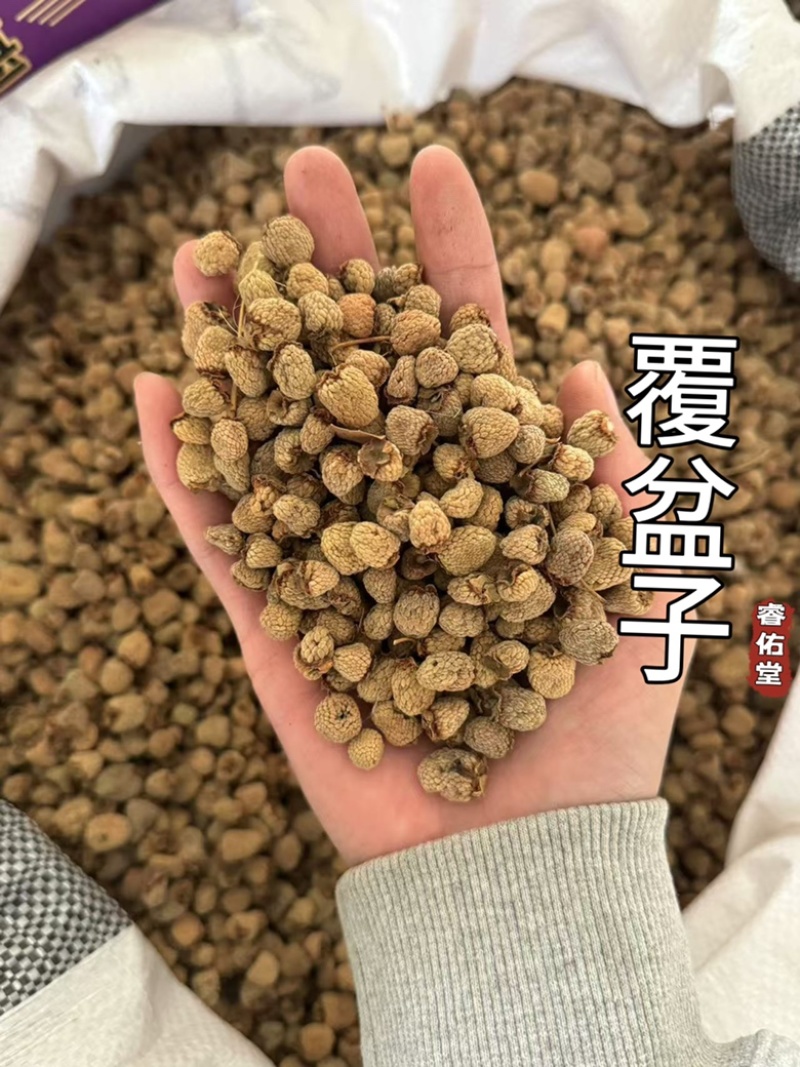 《正品货对版》足干覆盆子正品货发货如图发货前过筛