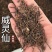 《纯根货》威灵仙实拍无泥正品威灵仙发货如图