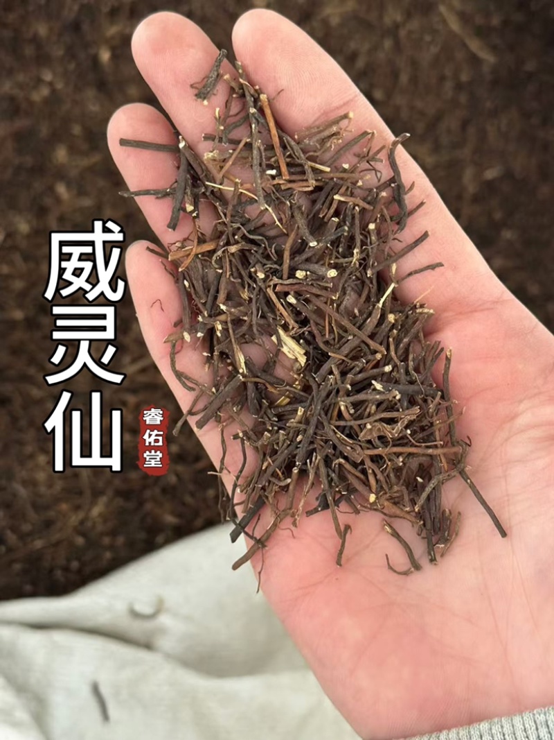 《纯根货》威灵仙实拍无泥正品威灵仙发货如图