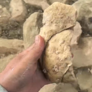 牛奶渣