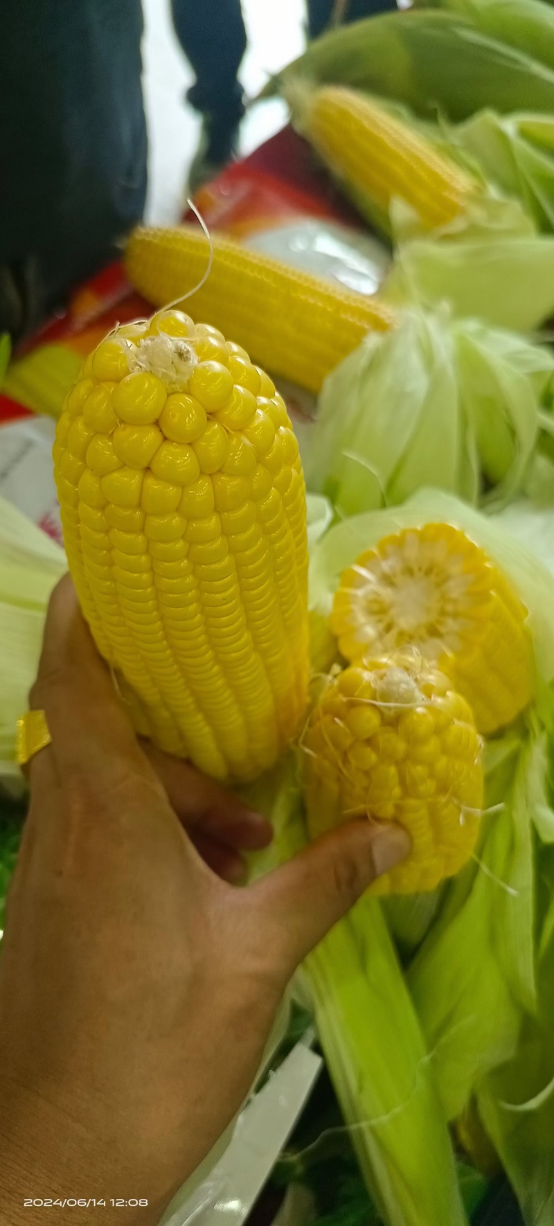 泰系太阳花广良甜27号甜玉米种子，大棒丰产好吃，基地回收
