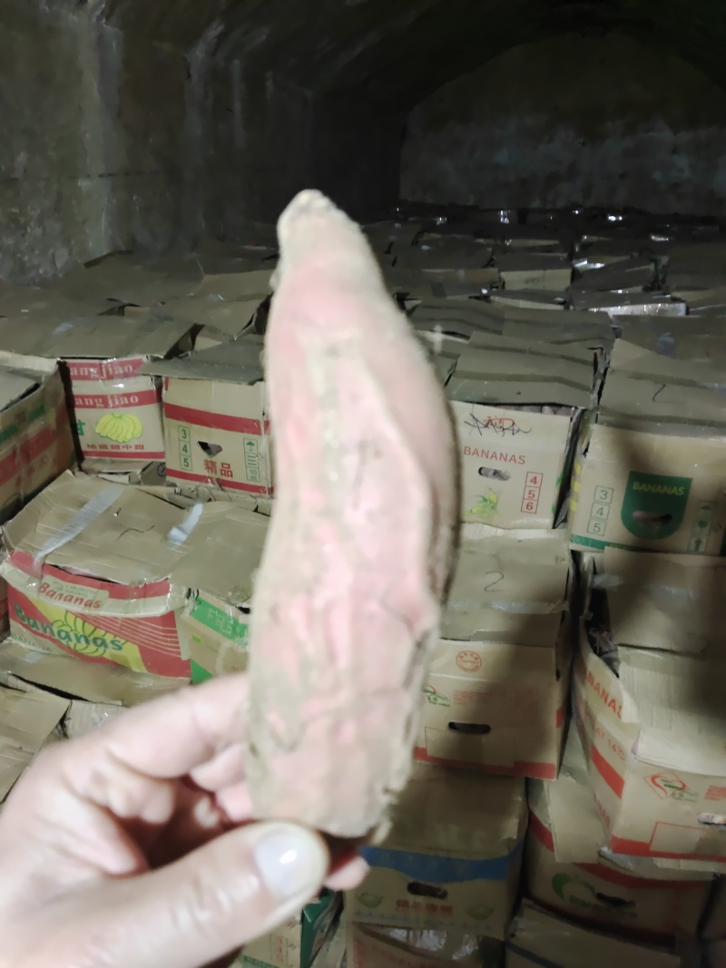山东烟台烟薯25烤红薯烤块蜜薯西瓜红板栗薯玛莎莉哈密薯
