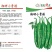 湘研小青港辣椒种子，甜而微辣，脆嫩爽口，耐放