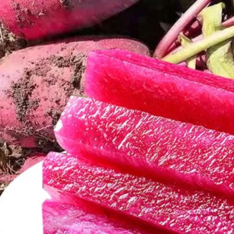 正宗凤梨萝卜保证口感年底便宜处理