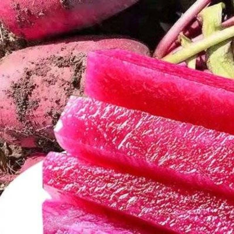 正宗凤梨萝卜保证口感年底便宜处理