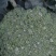 西兰花一手货源大量供应市场加工厂量大从优