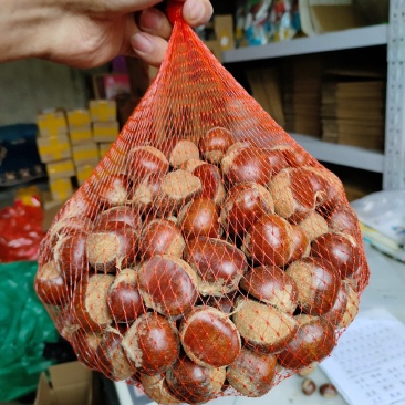 陕南板栗秦岭山区镇安大板栗红板栗量大从优