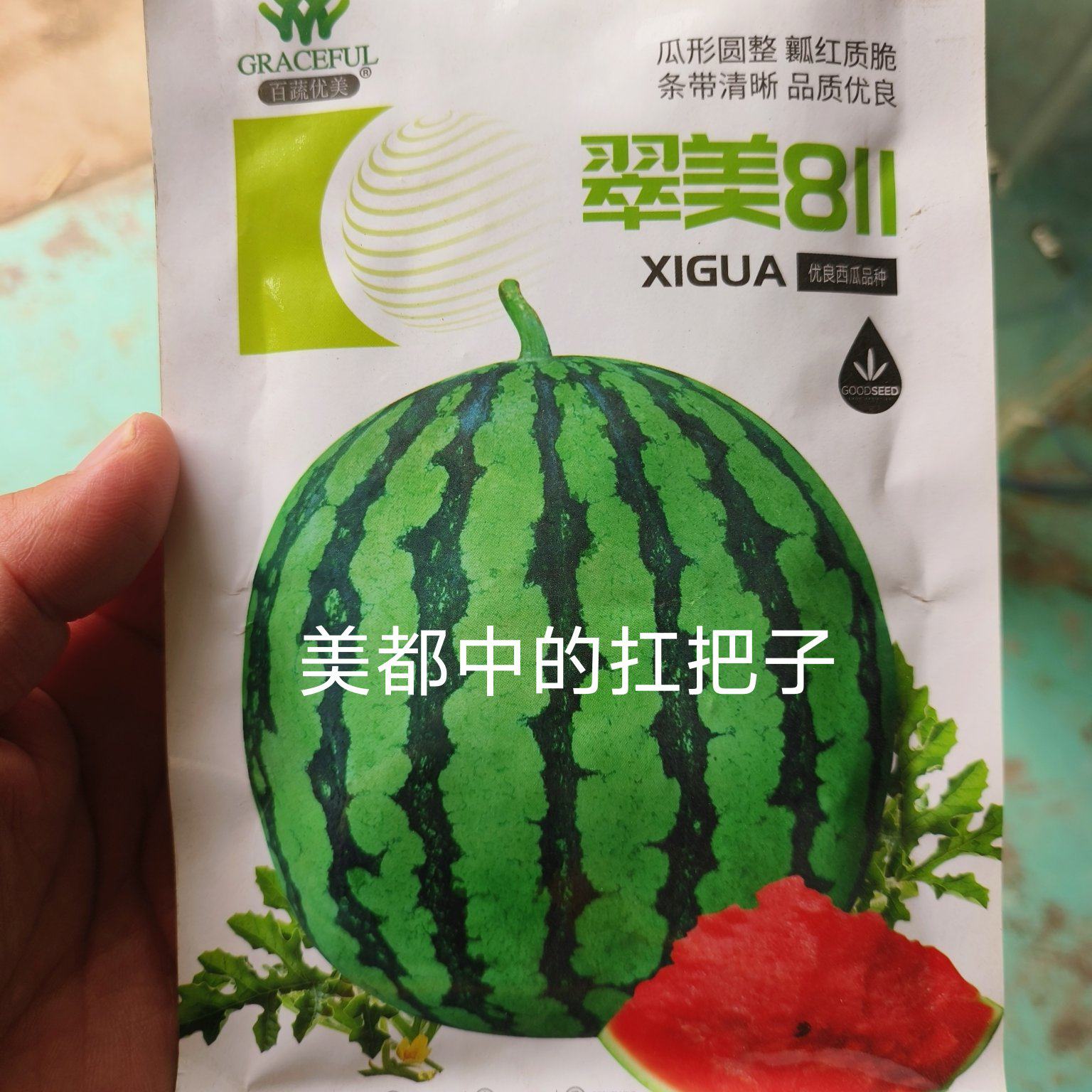 [美都西瓜种子批发]河南周口扶沟县西瓜种子 220.00元/袋翠 _ 一亩田